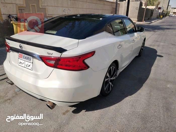 نيسان ماكسيما